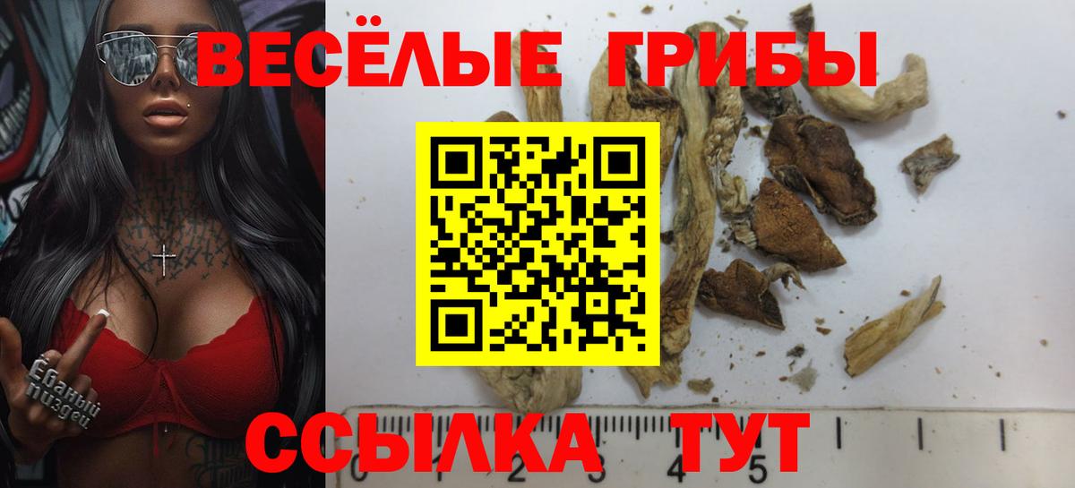 Кириши  даркнет сайт  Вход с VPN  Галлюциногенные грибы Psilocybine cubensis 
